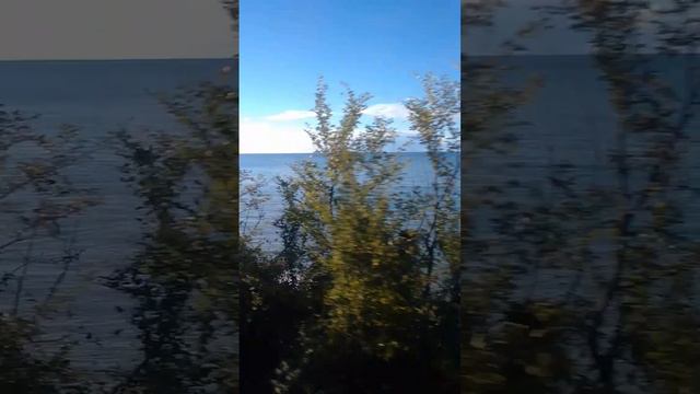 Поезд Москва- Сухум .Море. смотреть онлайн