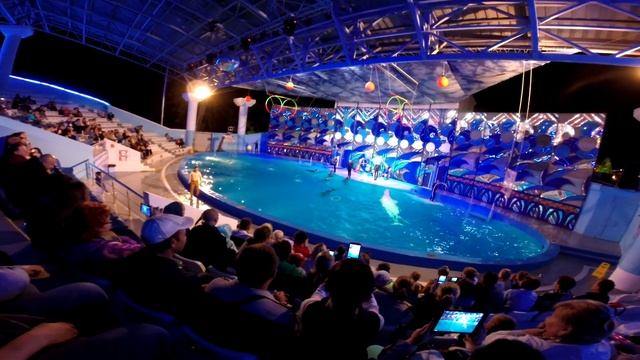 Сочи 2016 смотреть онлайн