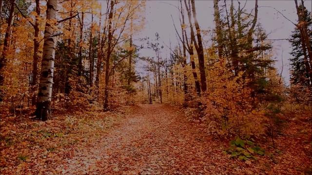 Евангелие от Матфея * Глава пятая