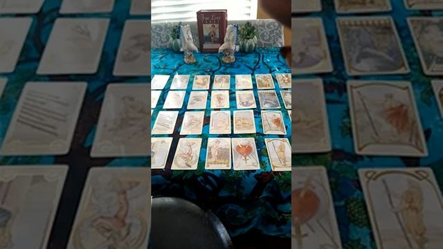 ?Your Wife Knows?, January 24, 2020, Tarot Reading смотреть онлайн