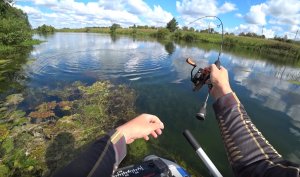 Голавль на спиннинг