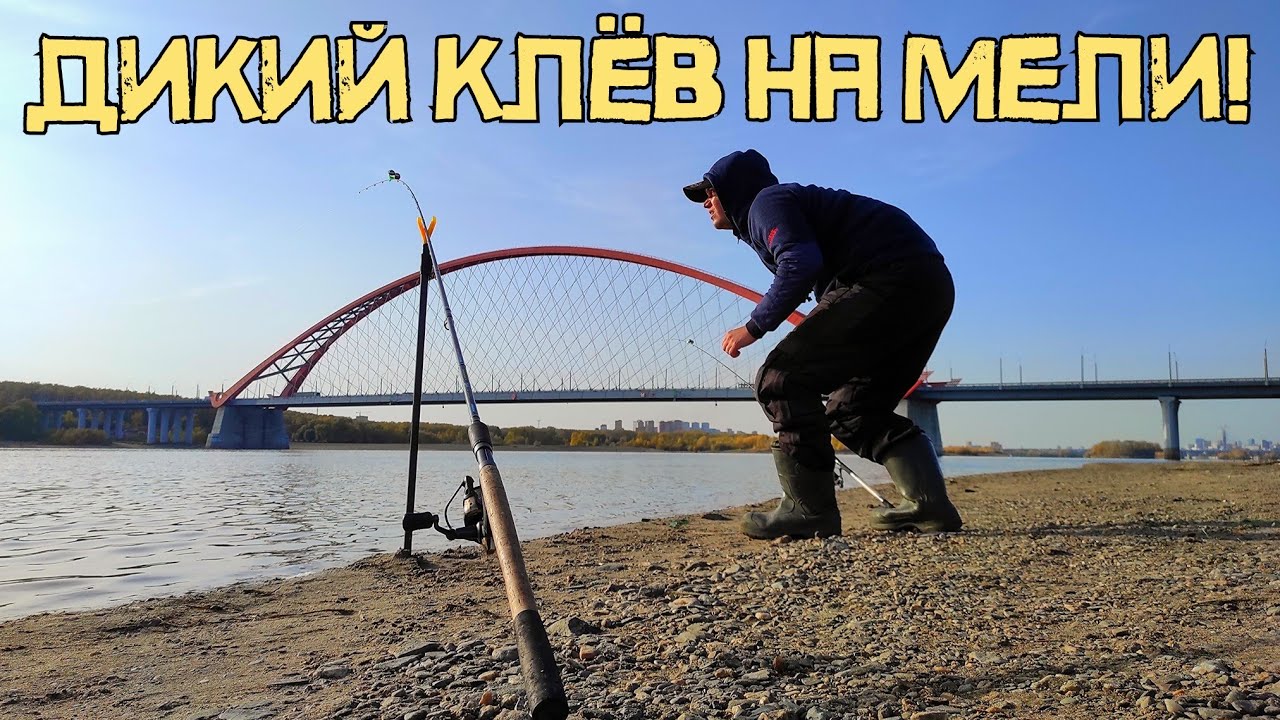 РЕЧНОЙ МЕЛЯК ШОКИРУЕТ! Не думал ПОПАСТЬ на ТАКОЕ! Рыбалка на донки 2023 смотреть онлайн