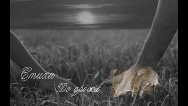 Сергей Есенин - Дорогая, сядем рядом смотреть онлайн