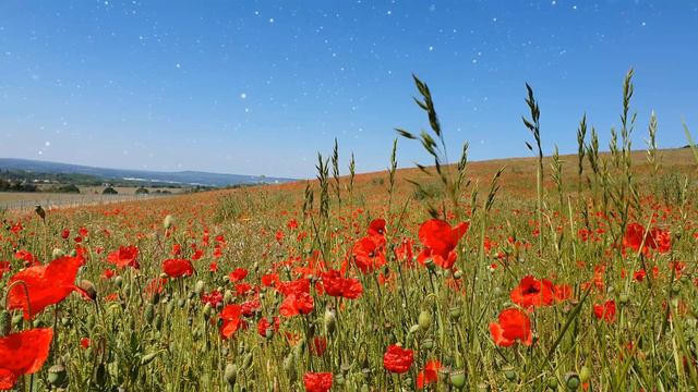 2 HOURS Beautiful Relaxing Music for Stress Relief • Deep Sleep Music, Mindfulness Meditation Music смотреть онлайн