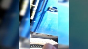 Зил «Бычок» 2004 г. номер рамы, кузова и кабины. Ставим на учёт в 2022