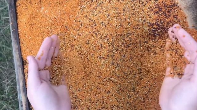 Урожай пыльцы смотреть онлайн