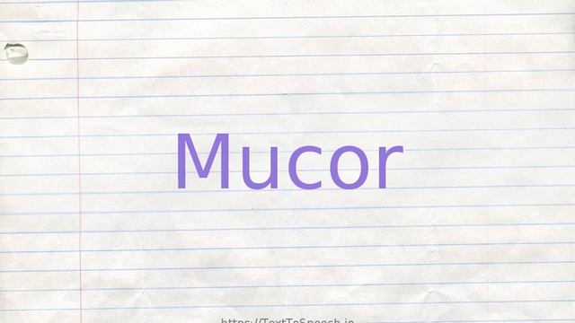How to pronounce mucor смотреть онлайн