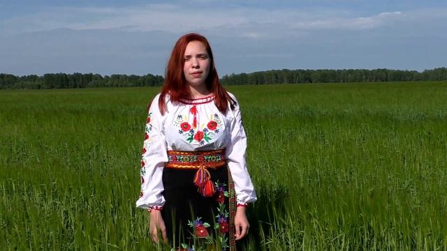 Владимир Фирсов "Чувство Родины" читает Полина Рубцова смотреть онлайн
