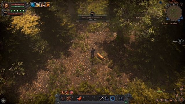 Wild Terra 2: New Lands | Релизный трейлер смотреть онлайн