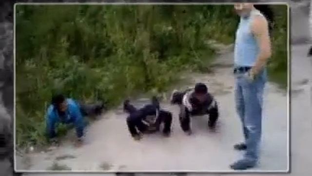 ВДВшник глумится над гастарбайтерами смотреть онлайн