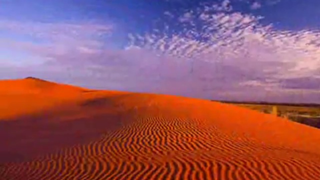 Sting - Desert Rose, Стинг - Роза пустыни смотреть онлайн