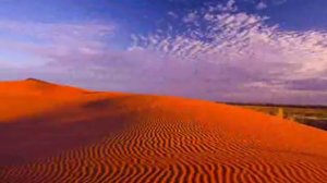 Sting - Desert Rose, Стинг - Роза пустыни