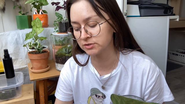 WEEKEND VLOG🌿 новости, планы, разговоры, пересадка смотреть онлайн