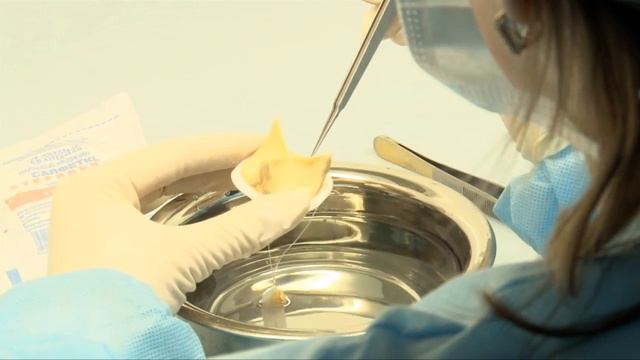 Свиное сердце спасает человеческое смотреть онлайн