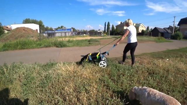 ТЕПЕРЬ У ЛАВРИКА ЕСТЬ СРЕДСТВО ПЕРЕДВИЖЕНИЯ!! СМОТРИТЕ КАК ОН НОСИТСЯ!!! смотреть онлайн