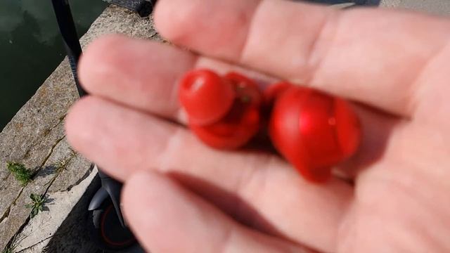 Утка и маленькие утята. Покатушки на Xiaomi M365 Pro. Galaxy Buds+