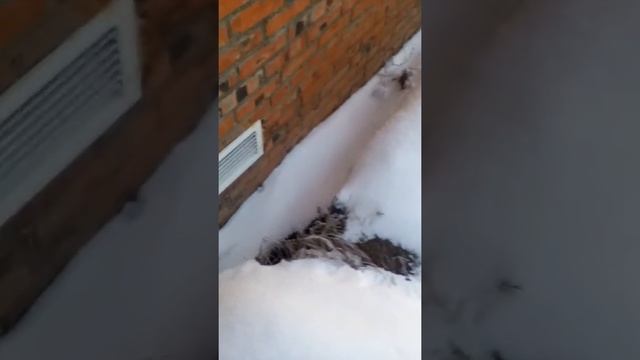 Вытяжка в гараже на уровне пола сварочный пост смотреть онлайн