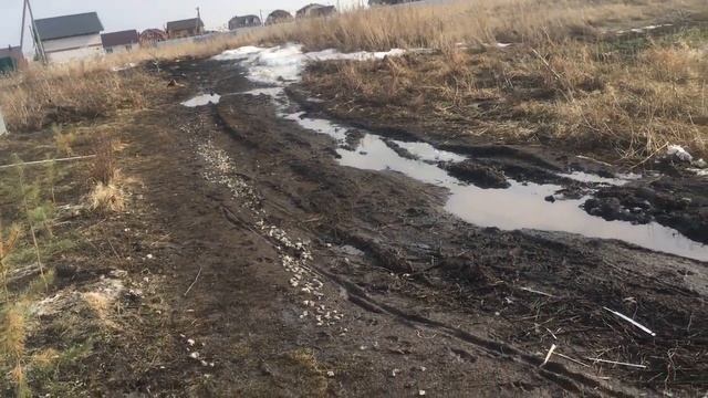 КАК ПЕРЕЖИЛИ ЗИМУ СОСЕНКИ, ПОСАЖЕННЫЕ ОСЕНЬЮ смотреть онлайн