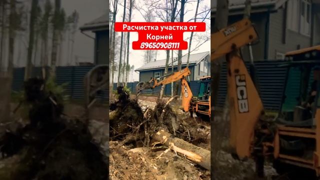 КАК ПРАВИЛЬНО ВЫКОРЧЕВАТЬ ПНИ НА УЧАСТКЕ #дача #участок #стройка #строительство #экскаватор #jcb смотреть онлайн