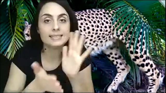 №57 Онлайн ? #ZOOM ? #ONLINECLASS Занятия  на платформе Zoom/Подготовка к школе детей 4-7 лет