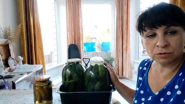 Зачем нам столько? У вас должно это быть. Почему мы не выращиваем картошку? Жизнь семьи в деревне. смотреть онлайн