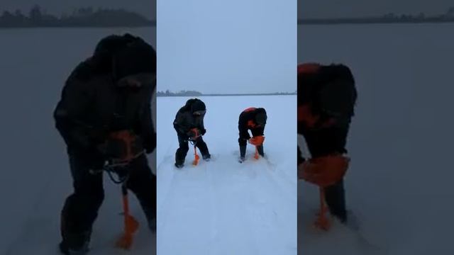 VID 20220228 WA0016 смотреть онлайн