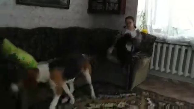 Айда опять в доме, красавица.