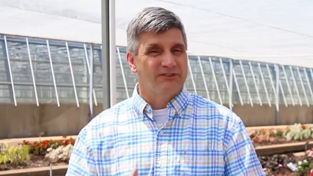 Ask The Grower - Hydrangea Color смотреть онлайн