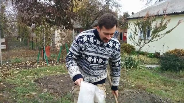 Лук на грядке. Посадка смотреть онлайн