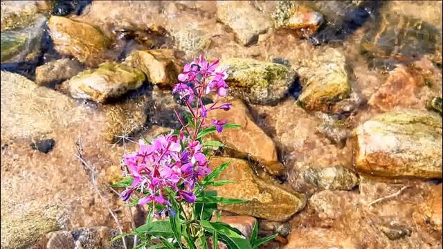 Озеро Байкал смотреть онлайн