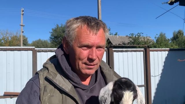 Мы снова в строю! Стройка свинарника продолжается! Потери и прибавления в хозяйстве! смотреть онлайн