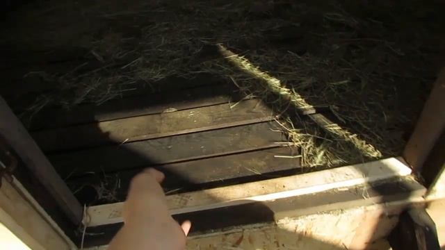 Приехали новые козлята! Достраиваем сарай-козлятник-козовник своими руками. смотреть онлайн