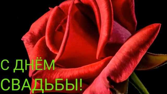 С ДНЕМ СВАДЬБЫ! С ДНЁМ СВАДЬБЫ! ПОЗДРАВИТЬ С ДНЕМ СВАДЬБЫ | ПОЗДРАВЛЕНИЕ С ДНЕМ СВАДЬБЫ | ОТКРЫТКА смотреть онлайн