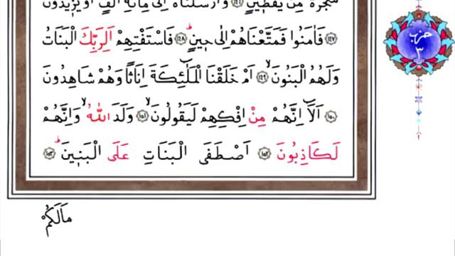 HATMI SERIF KURAN I KERIM 23 CÜZ mukabele 2013 (hayrat) смотреть онлайн