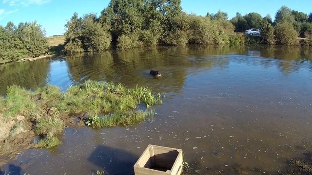 Испытания по водоплавающей смотреть онлайн