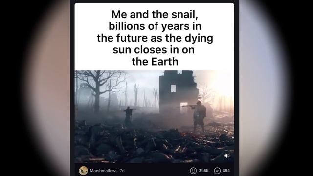 What Is The Immortal Snail? смотреть онлайн