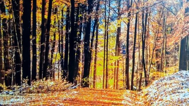 Релакс. Красивая Музыка. Спокойная музыка для души. Relax. Beautiful Music. Relax Musik Schöne Musi смотреть онлайн