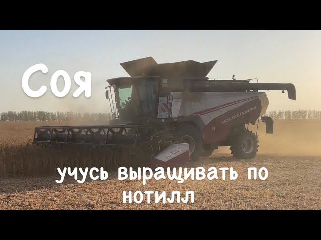 Соя нотилл 2023. смотреть онлайн