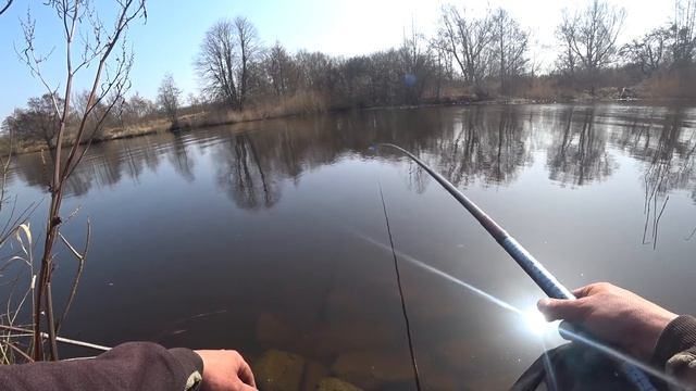 ЛУЧШИЙ ИНГРЕДИЕНТ ДЛЯ ТЕСТА. Рыбалка на поплавок. смотреть онлайн