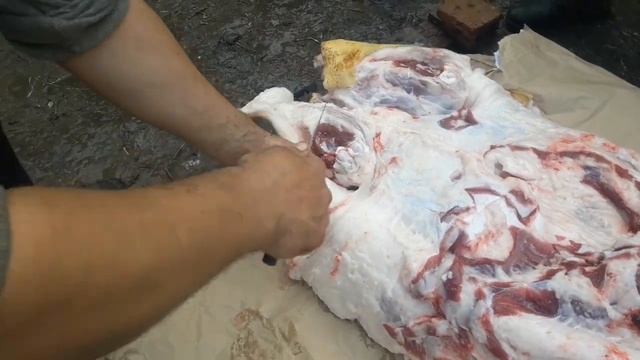 Колим в'єтнамську свиню, розбір, і показую яке м'ясо та сало . смотреть онлайн