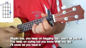 Ho to play Go Away by Weezer Ukulele Guitar Chords