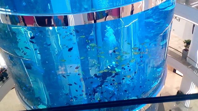 Тц ОКЕАНИЯ на Славянском Бульваре(2)