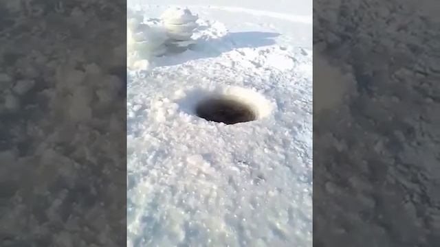 Купание в проруби в минус 40 смотреть онлайн