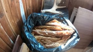 Табак.Выращивание. Сорт табака  ВИРДЖИНИЯ 202