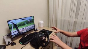 Обзор на игровой руль Logitech Formula Feedback Whell.