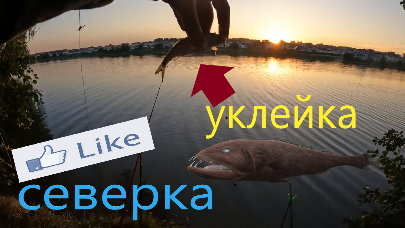 Рыбалка на реке Северка в конце августа 2023. Ловлю уклейку!!! смотреть онлайн