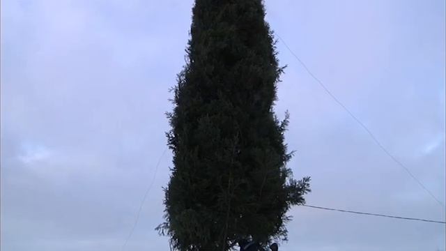 В Мамадыше полным ходом идет подготовка к Новому году