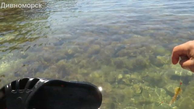 МОРЕ на машине сами справимся. Такого обычно не показывают смотреть онлайн