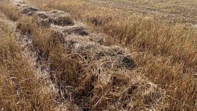 ВОТ и КОНЕЦ! Завершаем сенокос. Пресс Vicon 1901 смотреть онлайн