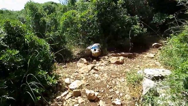 To mount Karmel from Yagur. На гору Кармель от Ягура עליה להר הכרמל מיגור. 08.05.2017 смотреть онлайн